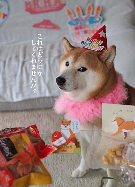 28日ブログ3