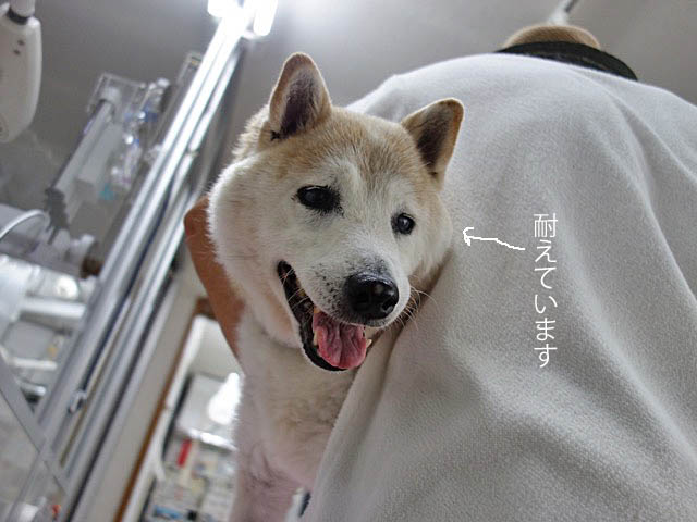9日ブログ5
