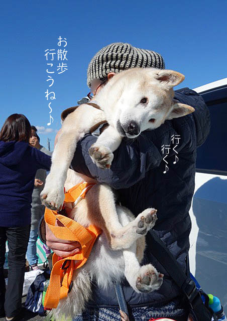 13日ブログ3