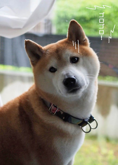 14日ブログ３