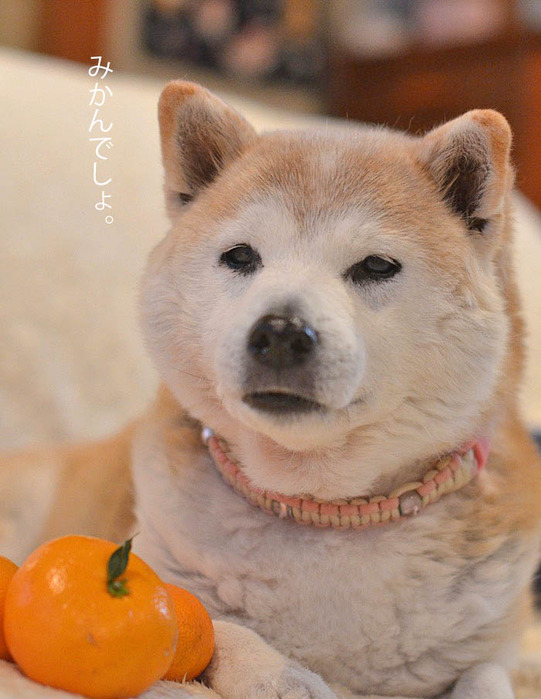 20日ブログ7