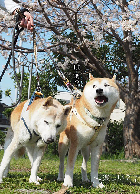 6日ブログ11