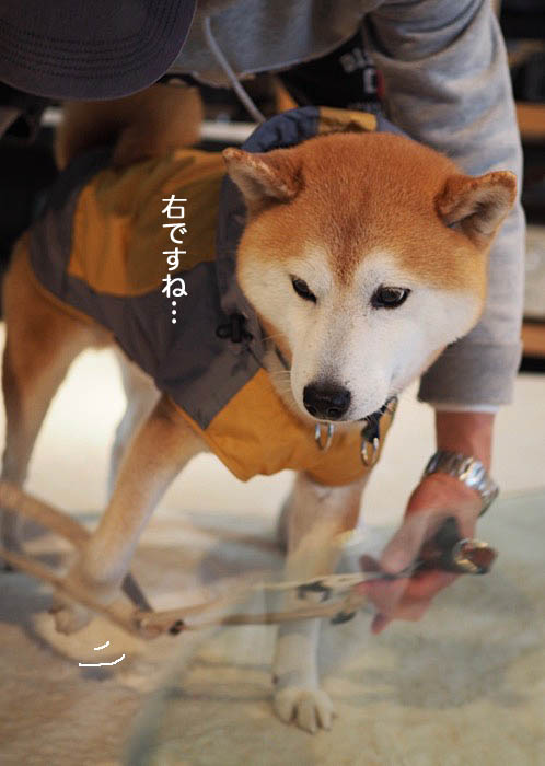 26日ブログ５