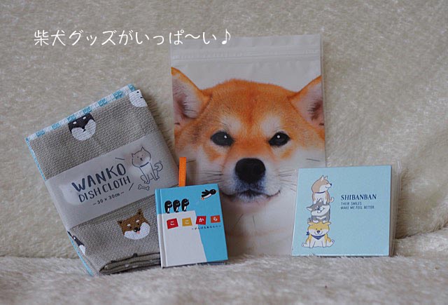 25日朝のブログ1