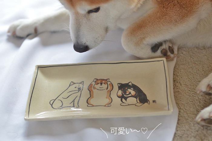 14日ブログ3