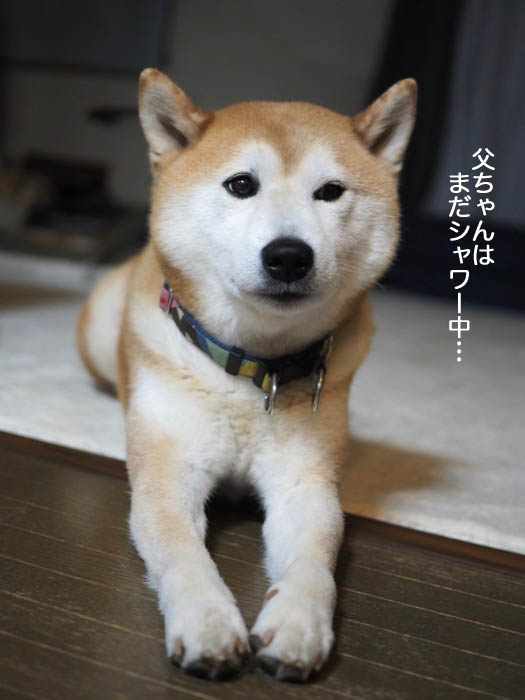 19日ブログ２
