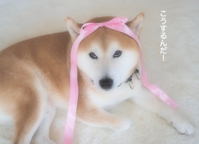 14日ブログ9