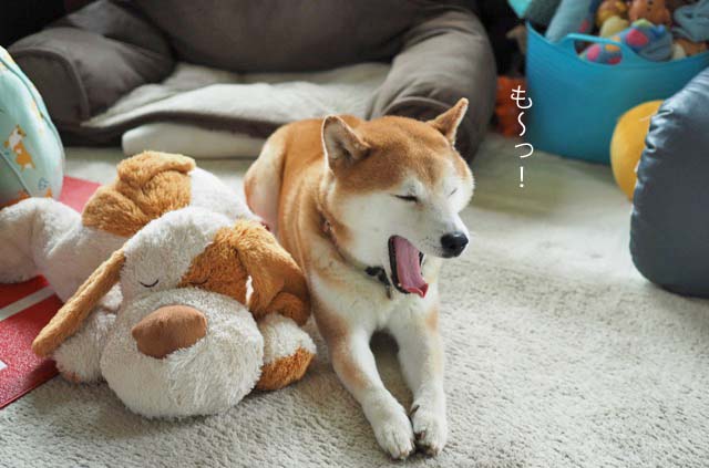 4日ブログ11
