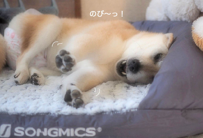 8日ブログ6