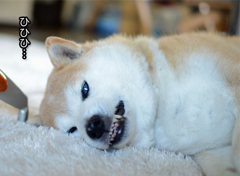 30日ブログ6.jpg