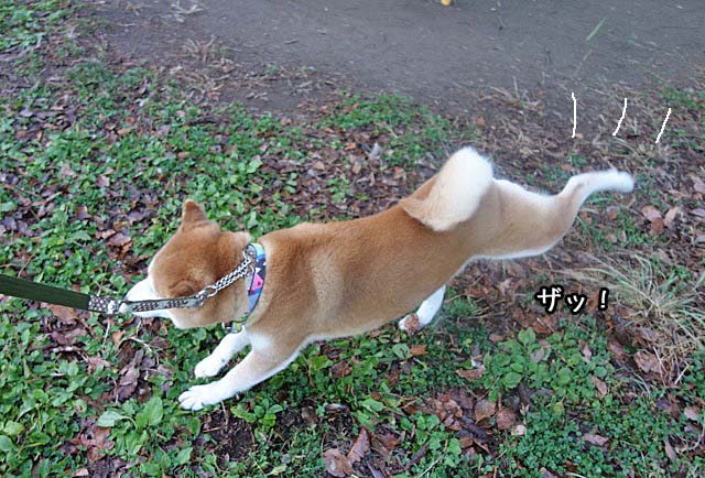 5日ブログ5