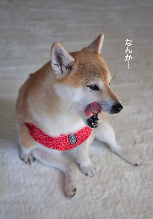 11日ブログ６