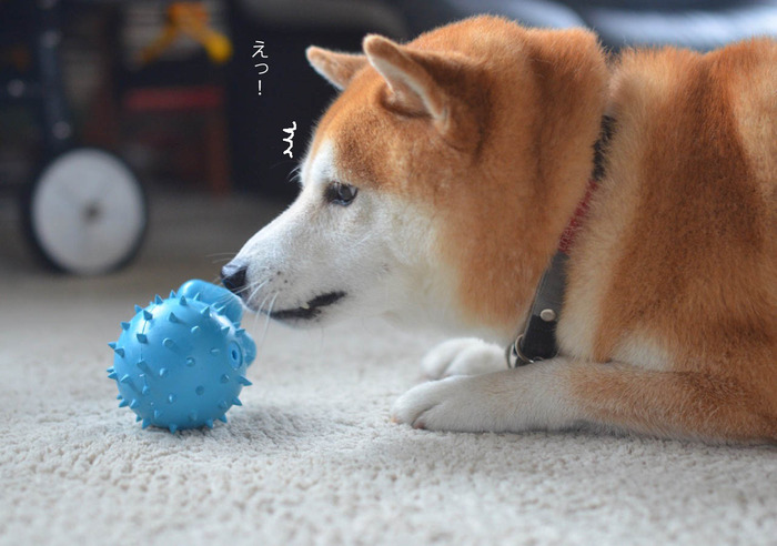 7日ブログ7