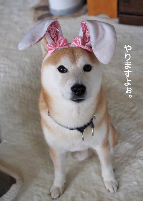 21日ブログ３