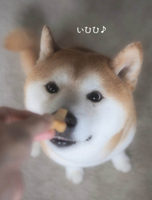 10日ブログ8