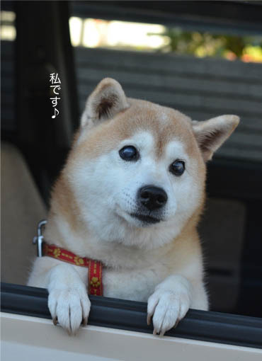 25日ブログ3.jpg