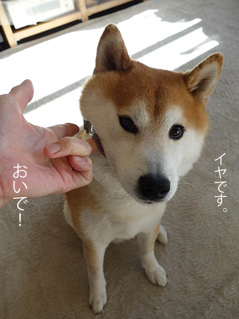30日ブログ2