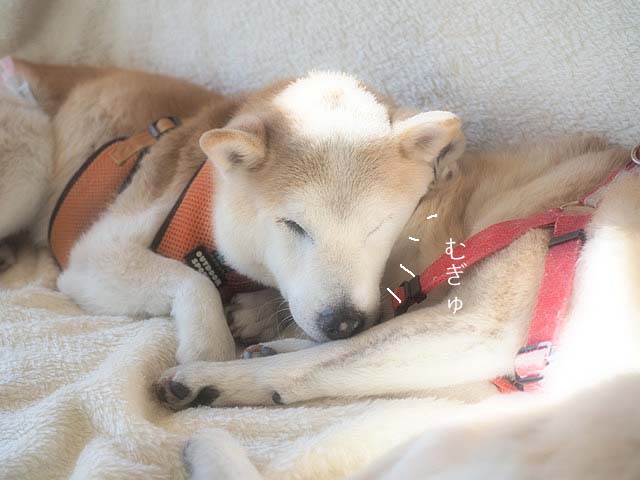 18日ブログ3
