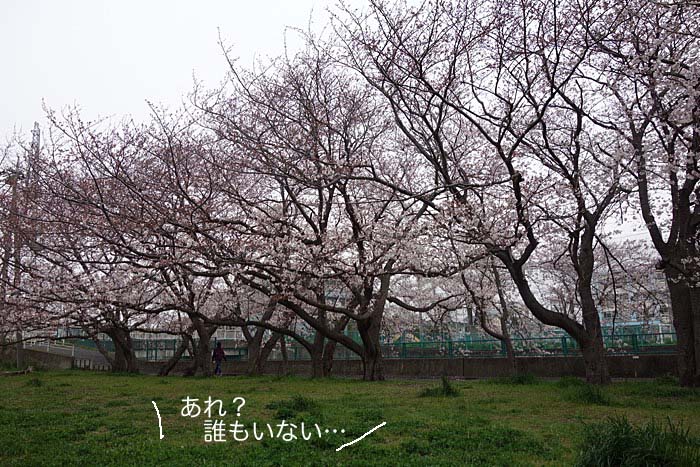 30日ブログ１