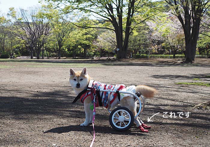 12日午後ブログ３