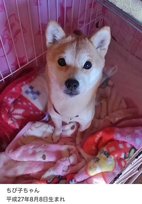 2日ブログ２