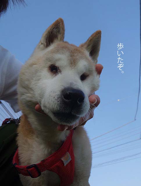 8日ブログ4