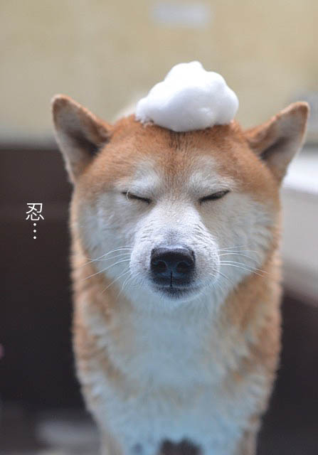6日ブログ6