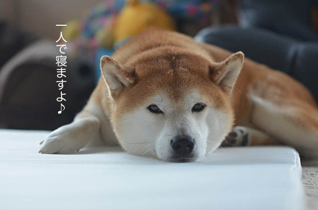 8日ブログ4