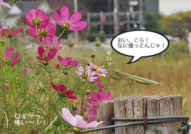 15日ブログ3