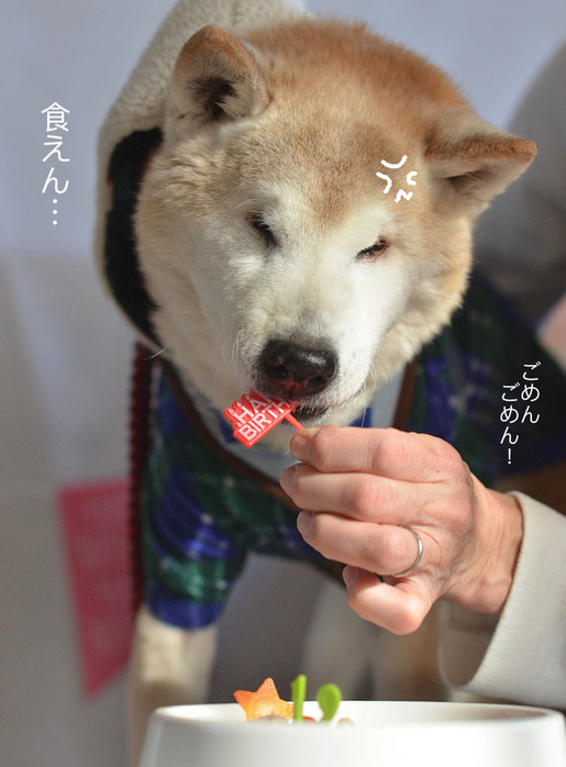 1日ブログ8