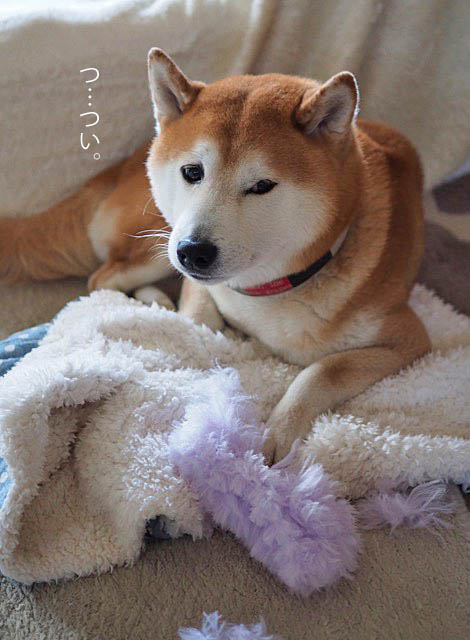 13日ブログ4