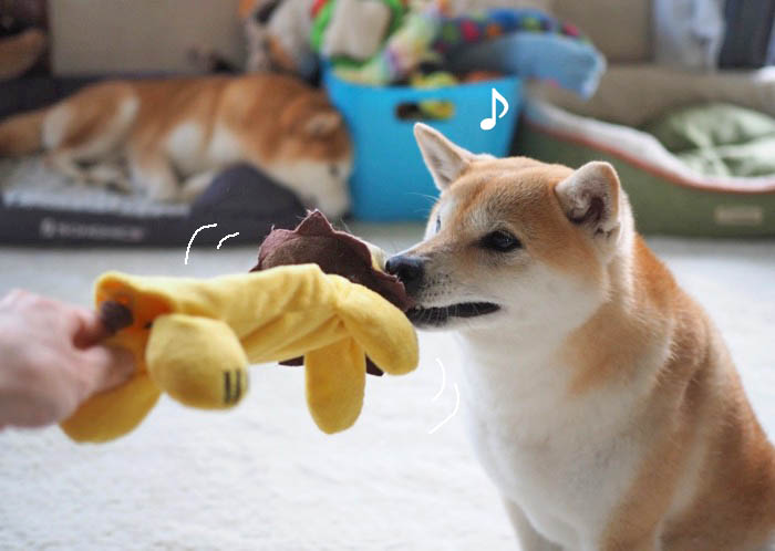 11日夜ブログ４