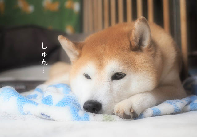 4日ブログ9