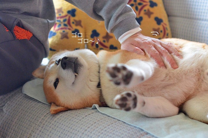 12日ブログ5