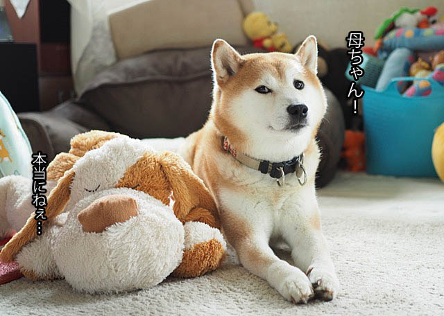4日ブログ13