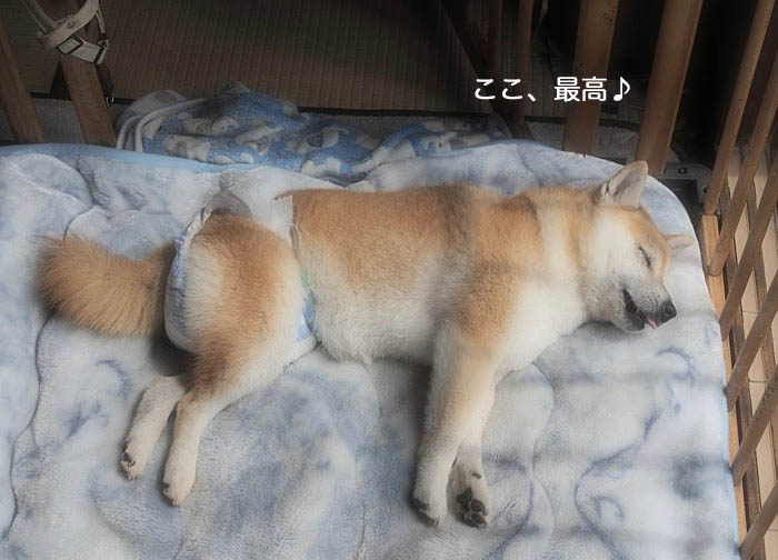 20日ブログ４