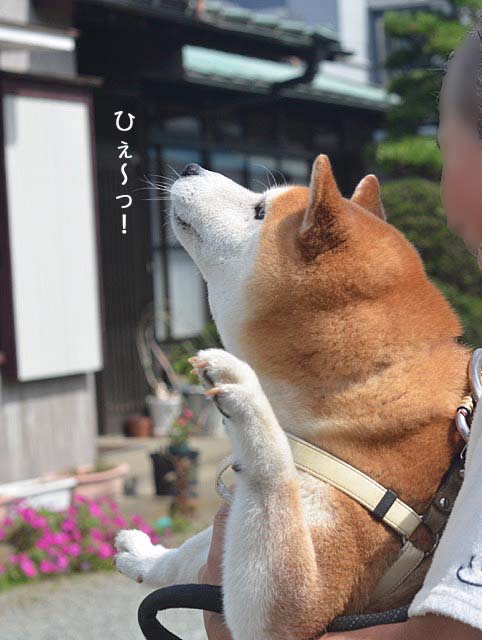 10日ブログ6