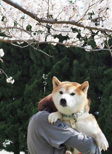 6日ブログ8