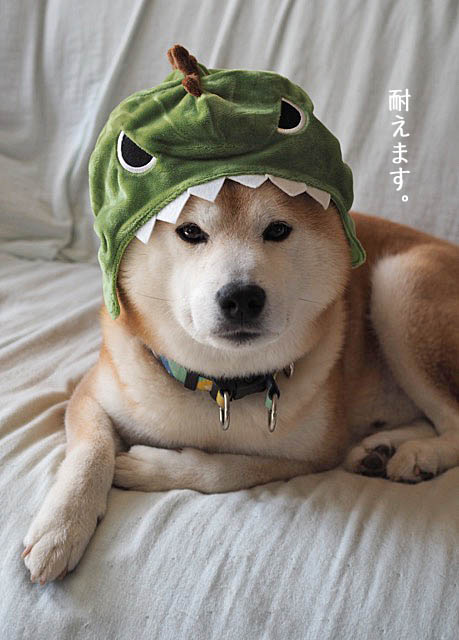 11日ブログ7