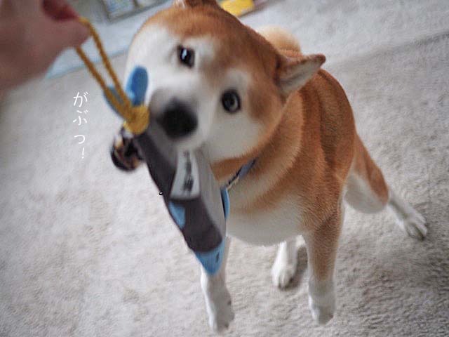 8日ブログ10