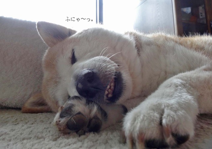 28日ブログ12