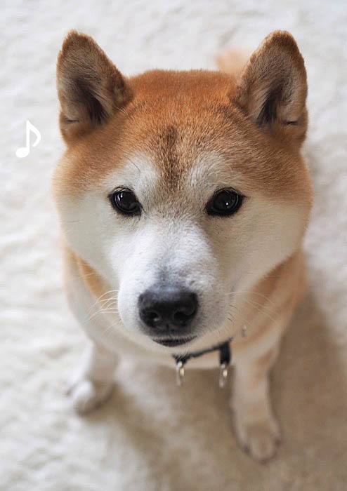 11日ブログ３