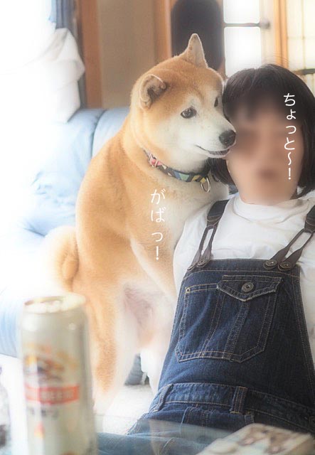 8日ブログ5