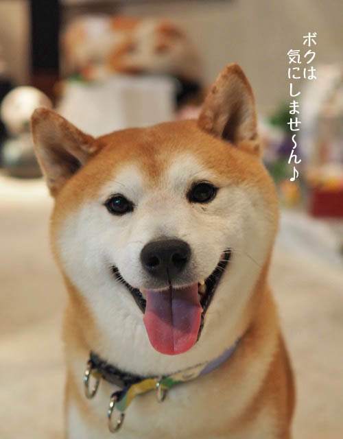 9日ブログ4