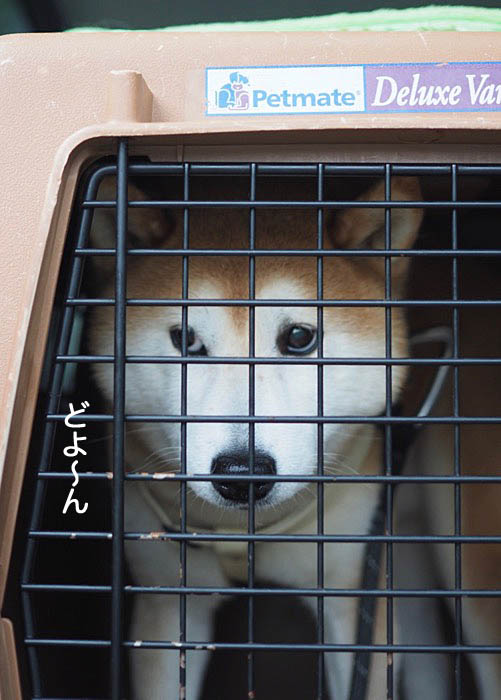 2日ブログ９