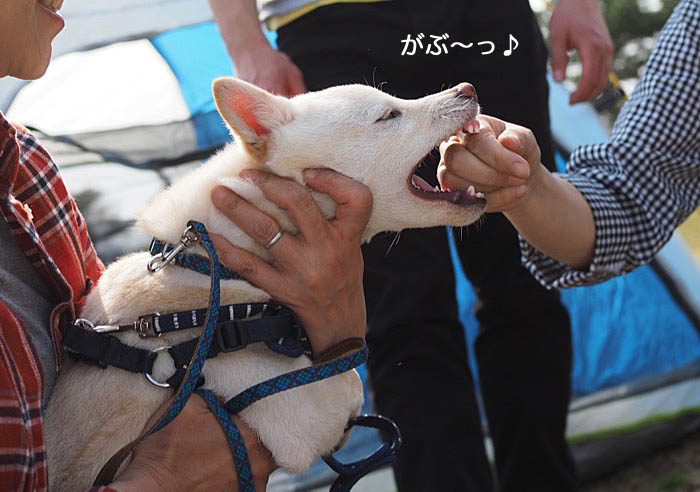 8日ブログ１４