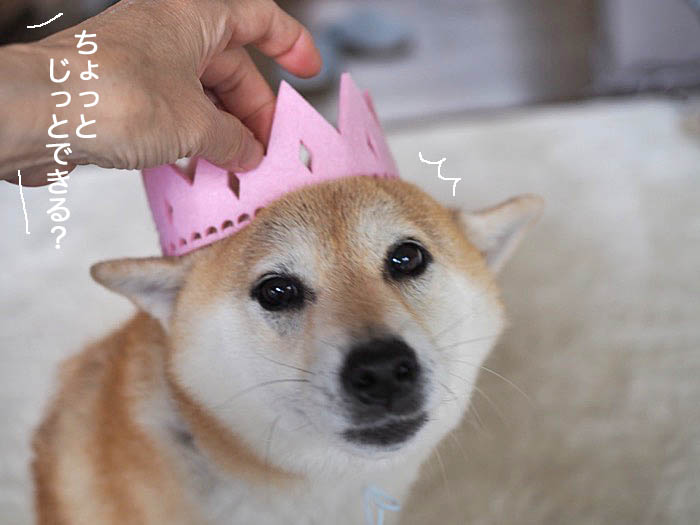 27日ブログ９