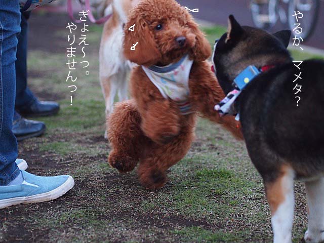 3日ブログ11