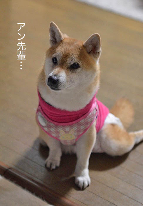 11日ブログ4
