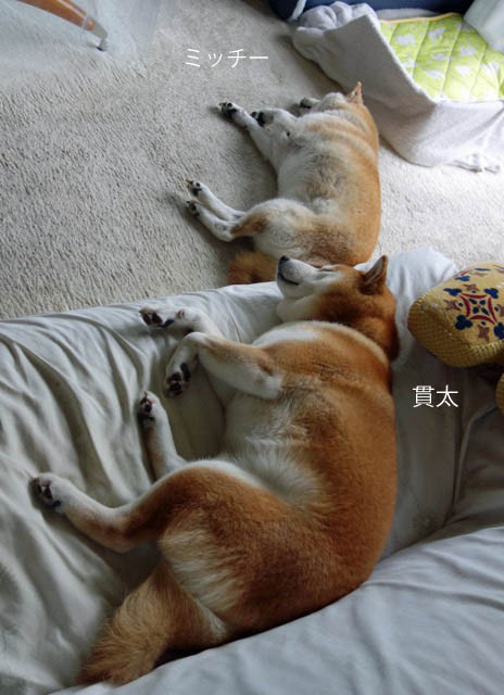 7日ブログ4
